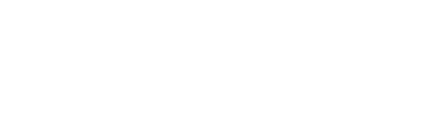 new VIVO logo white PNG large size