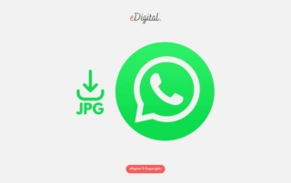 new WhatsApp logo green jpg
