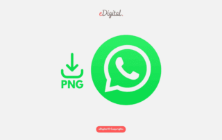new WhatsApp logo green png