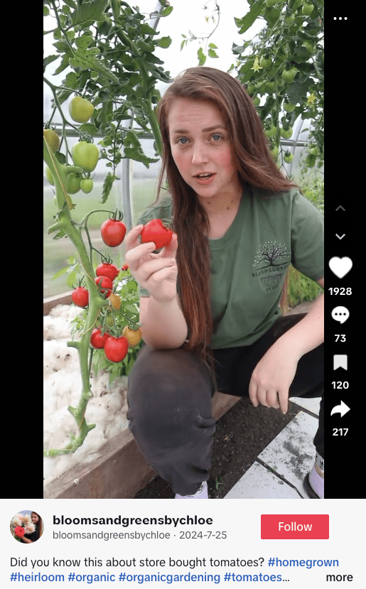 #organic a popular sustainability hashtag on TikTok