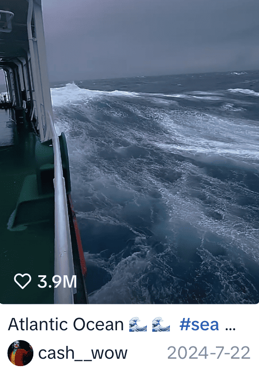 #sea a popular sustainability hashtag on TikTok