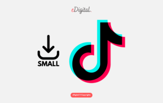 small scale TikTok icon PNG