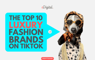 top 10 luxury high fashion brands on TikTok