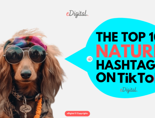 THE TOP 10 MOST POPULAR NATURE HASHTAGS ON TIKTOK IN 2026