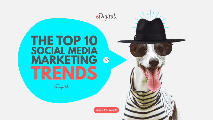 top 10 social media trends for 2026