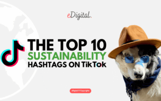 top 10 sustainability hashtags on TikTok