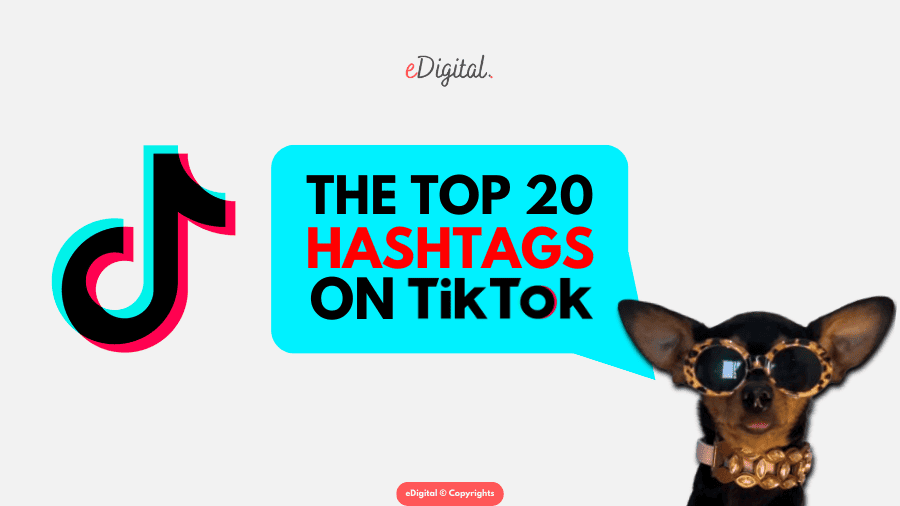 top 20 most popular hashtags on TikTok