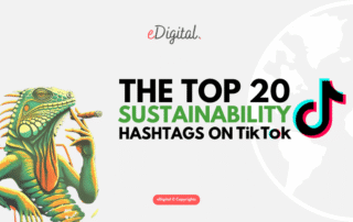 top 20 sustainability hashtags on TikTok