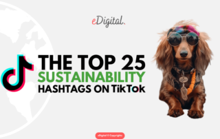 top 25 sustainability hashtags on TikTok