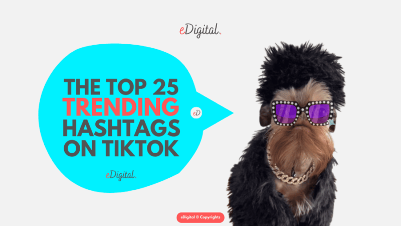 THE TOP 25 TRENDING TIKTOK HASHTAGS RIGHT NOW - eDigital Agency
