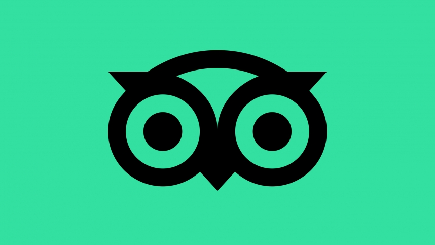 tripadvisor logo icon black green owl rectangle