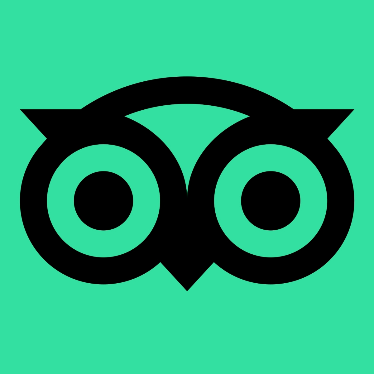 THE NEW TRIPADVISOR LOGO PNG IN 2025 eDigital Agency
