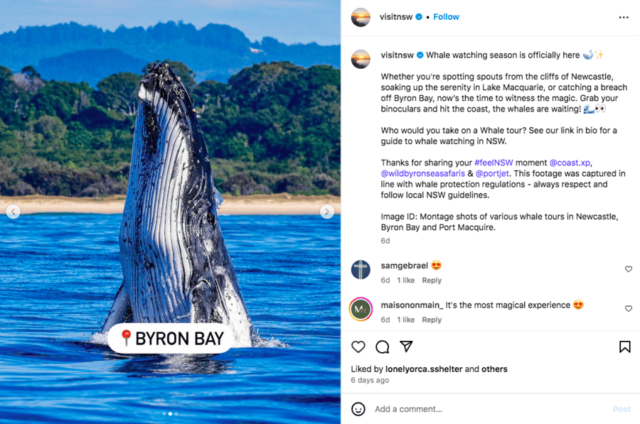 visit NSW a popular NSW Government tourism brand on Instagram