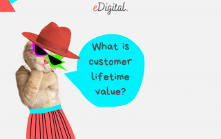 what is customer lifetime value?