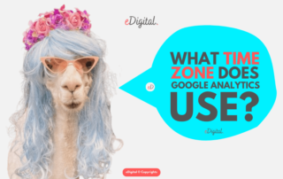 what time zone does Google Analytics use